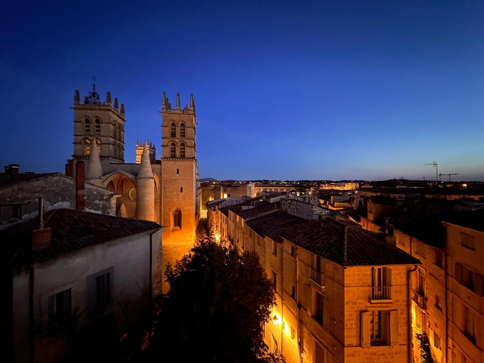 Appartamento La Terrasse, Vue Sur Les Toits De Montpellier Esterno foto